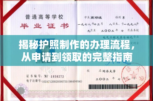 杨浦揭秘护照制作的办理流程，从申请到领取的完整指南